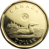 loonie100.png