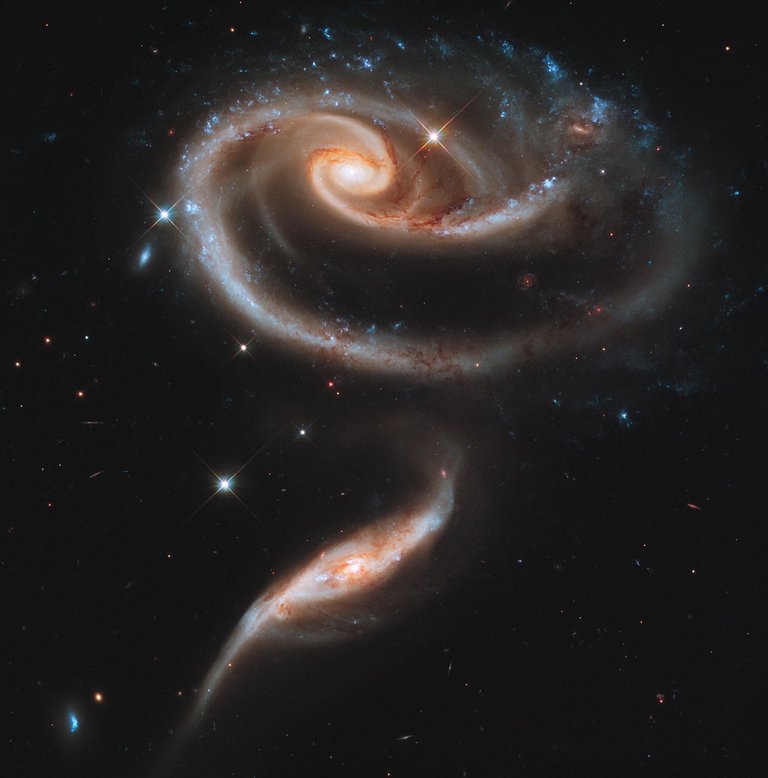 rosegalaxy.jpg