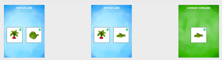 seed planted - mystery seed turned into radish.PNG