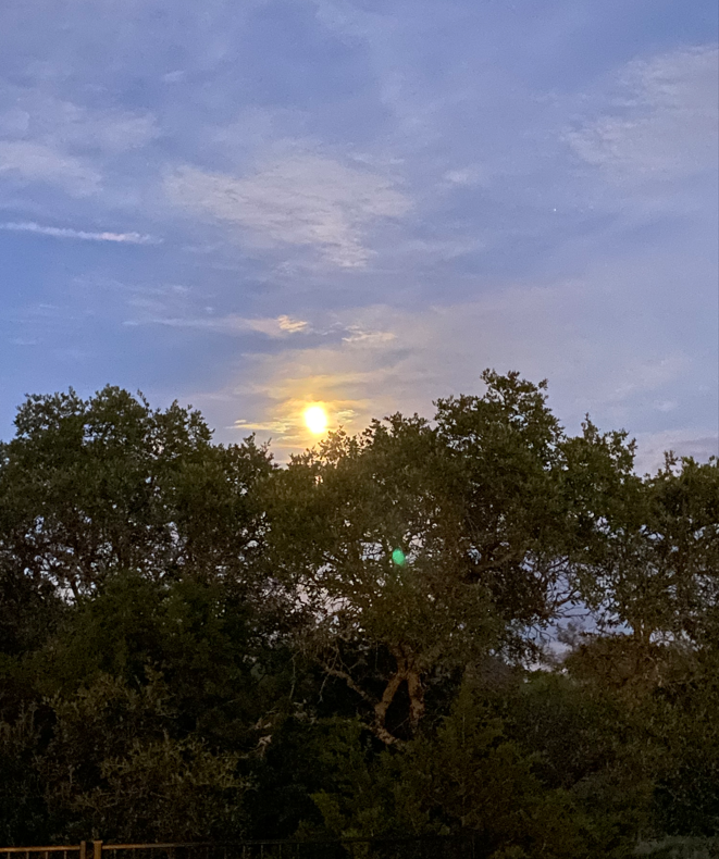 Full moon rising.PNG