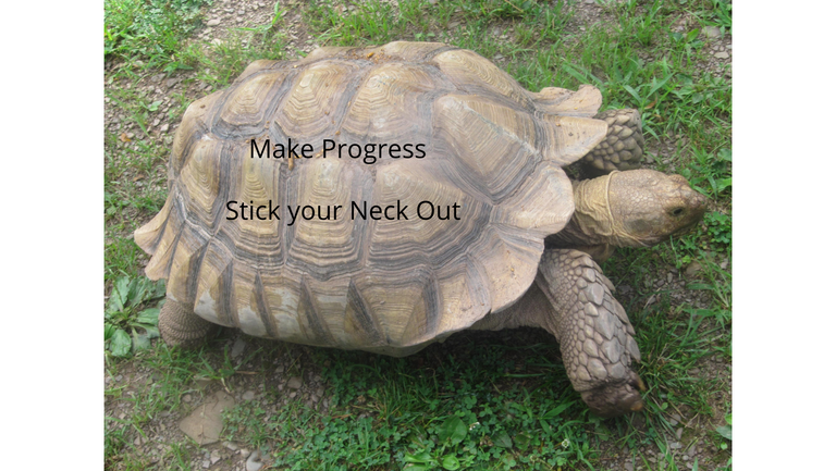 Make Progress.png