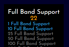 Close to next level - full band suppport.PNG