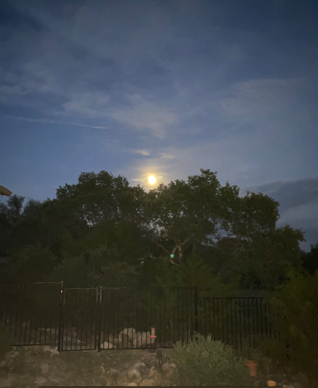 Full moon back yard.PNG