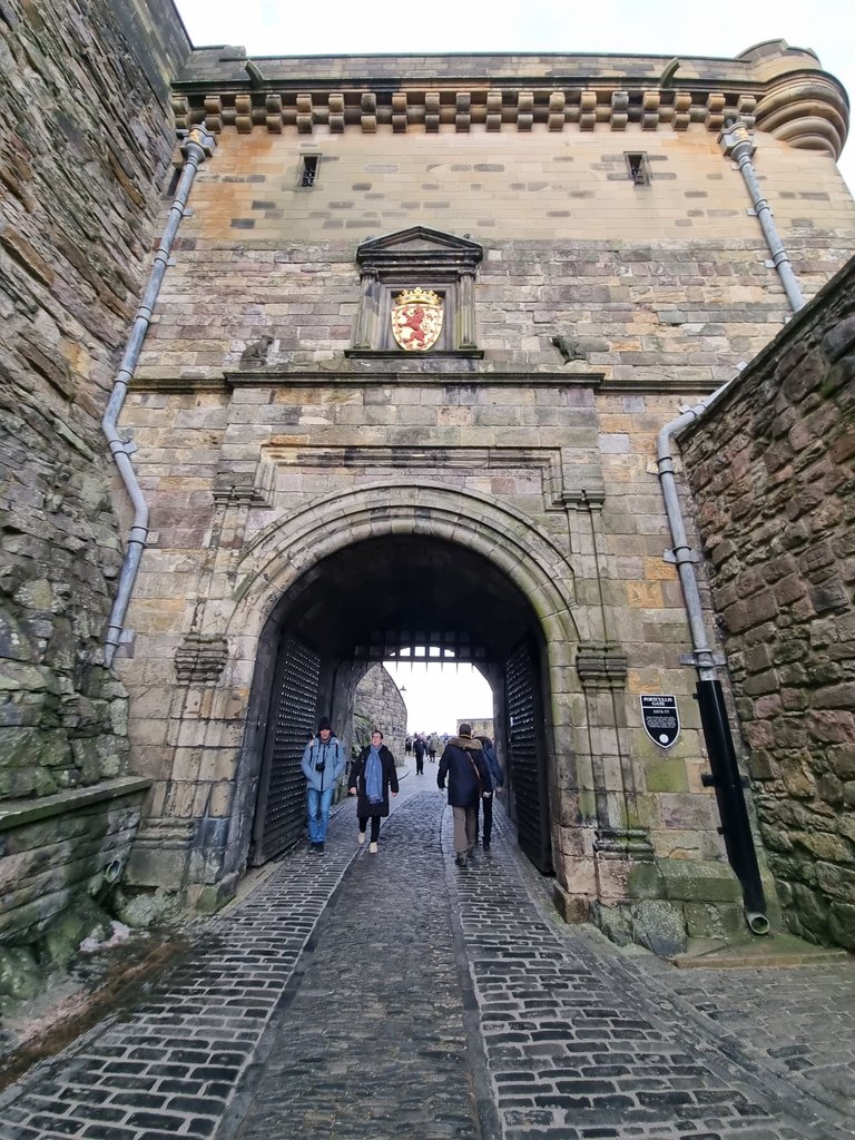 20240116_120510.jpg
