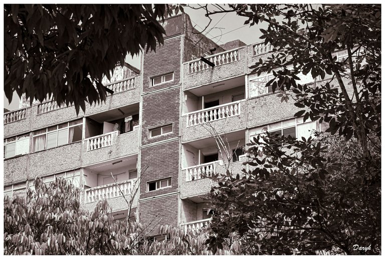 YFM_7366 copia.jpg