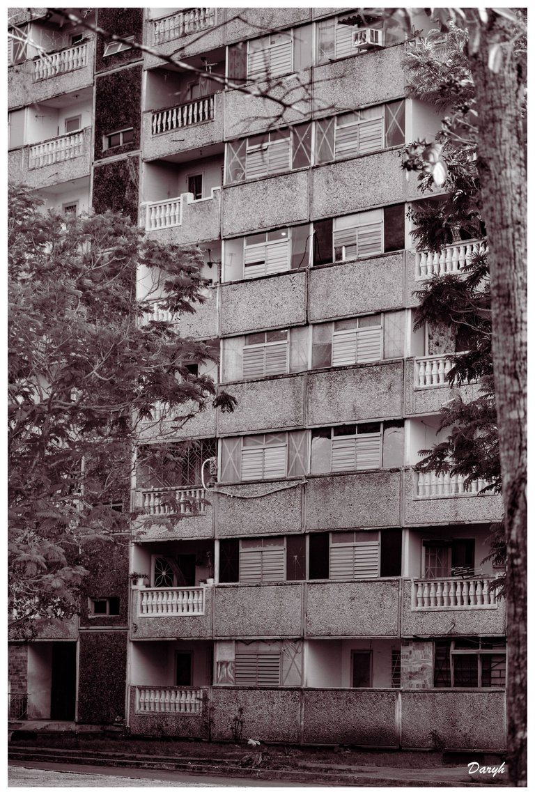 6114 copia.jpg