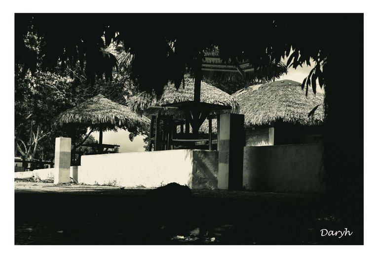 Sin título-1.jpg