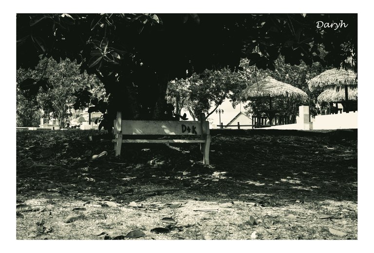 Sin título-2.jpg