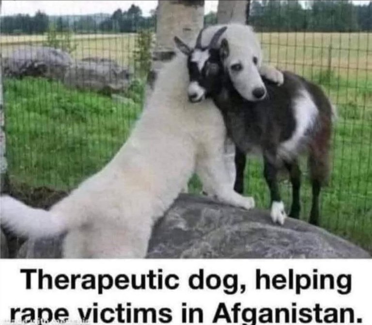 1000017097.jpg