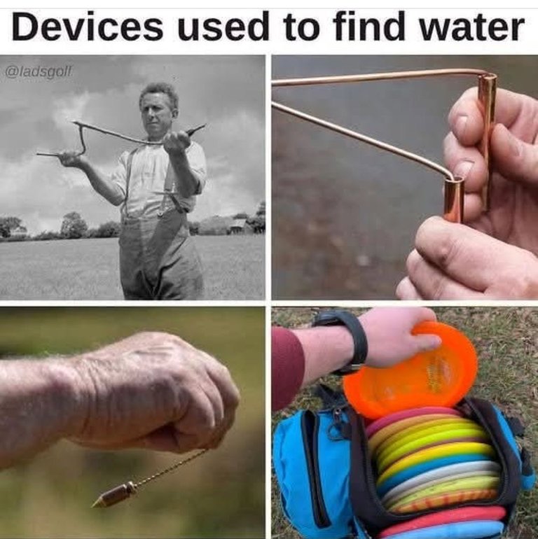 1000017633.jpg