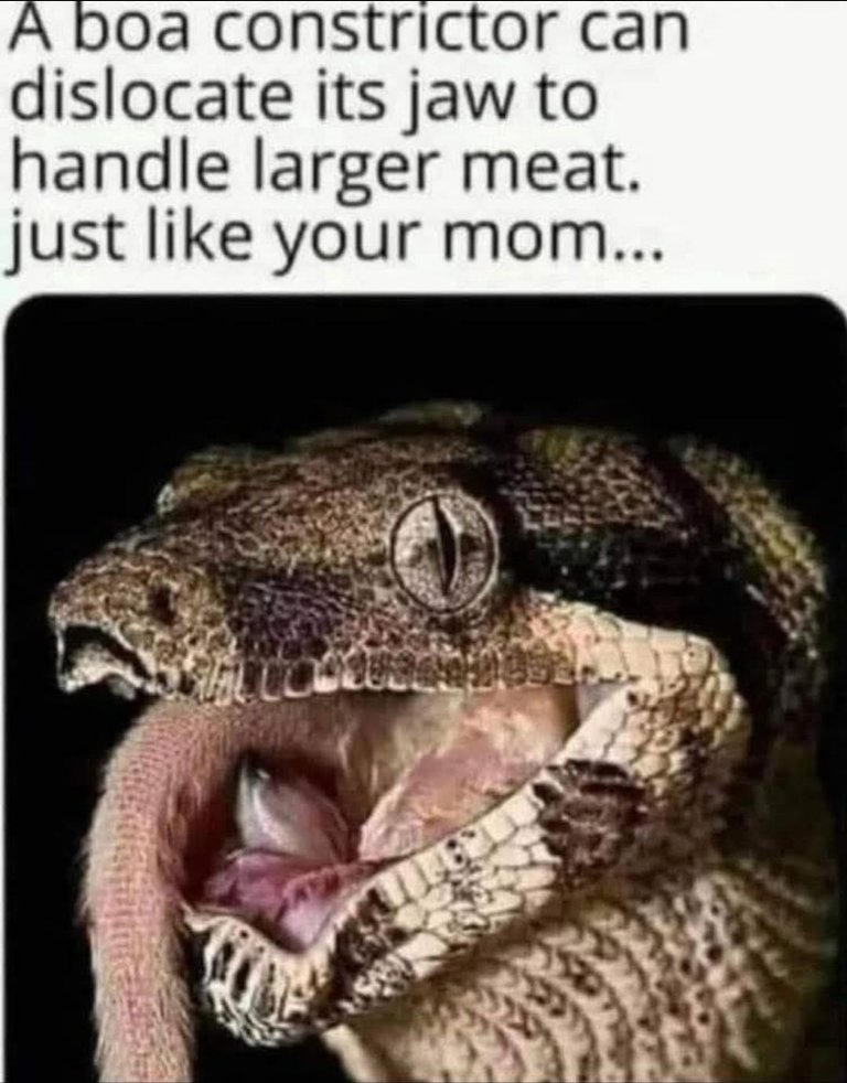 1000016052.jpg
