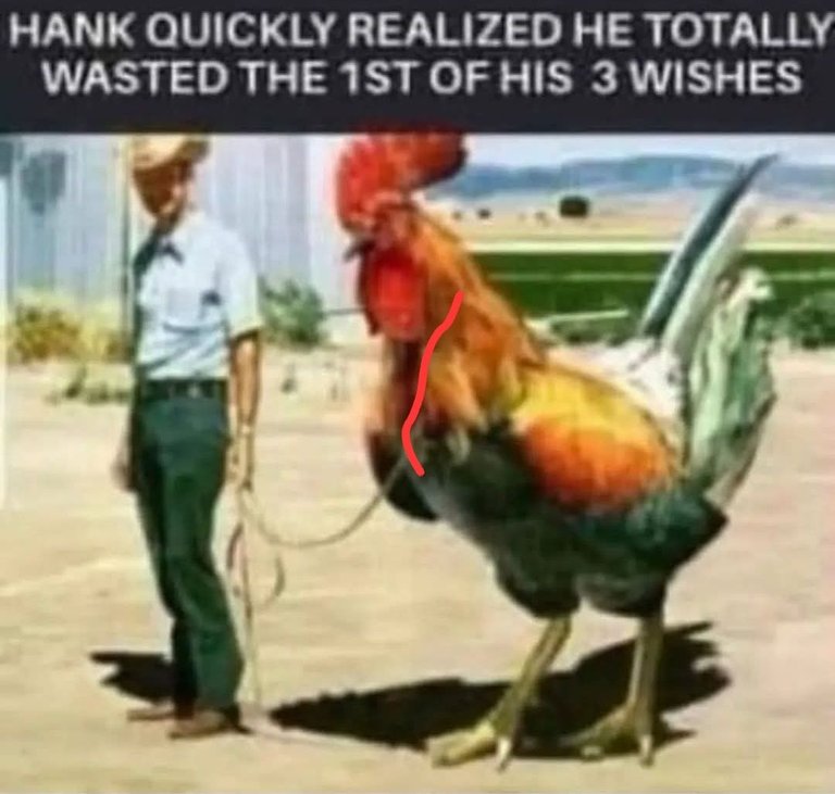 1000015945.jpg