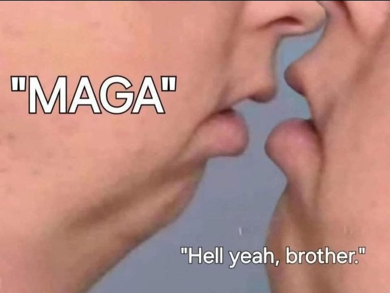 1000016647.jpg