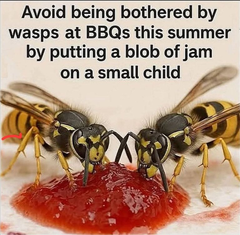 1000016796.jpg
