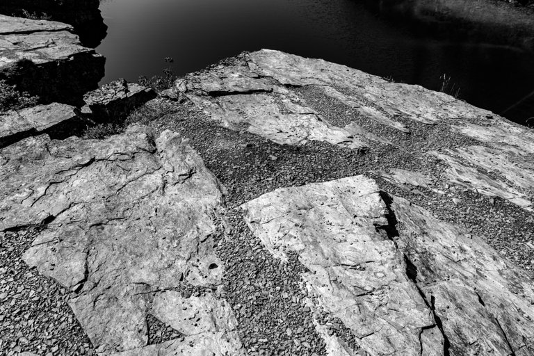 DSC08284.jpeg