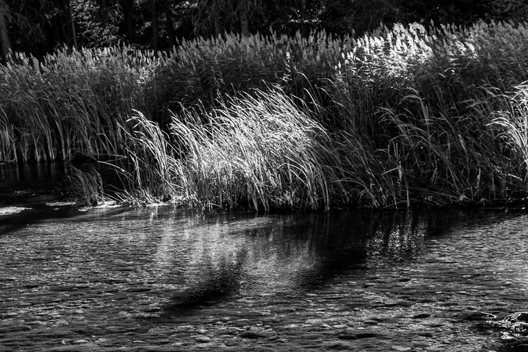 DSC08649.jpeg