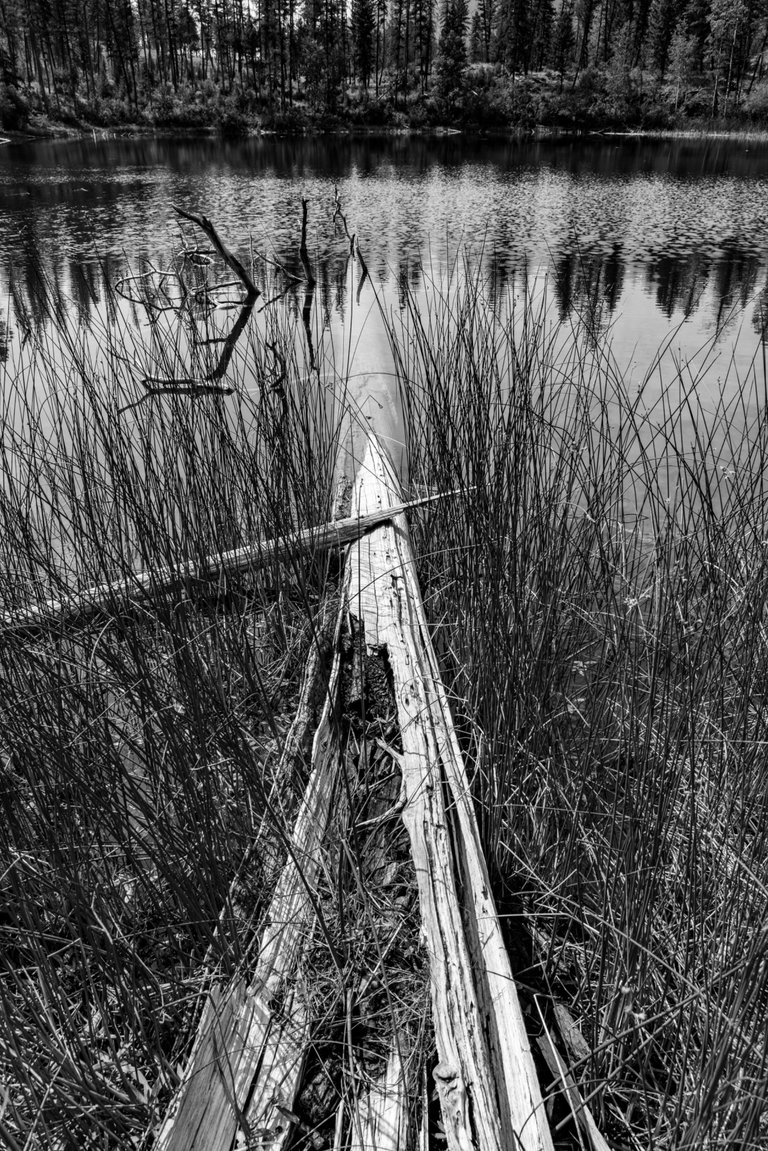 DSC08372.jpeg