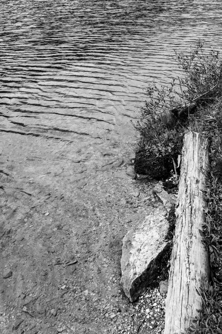 DSC08460.jpeg