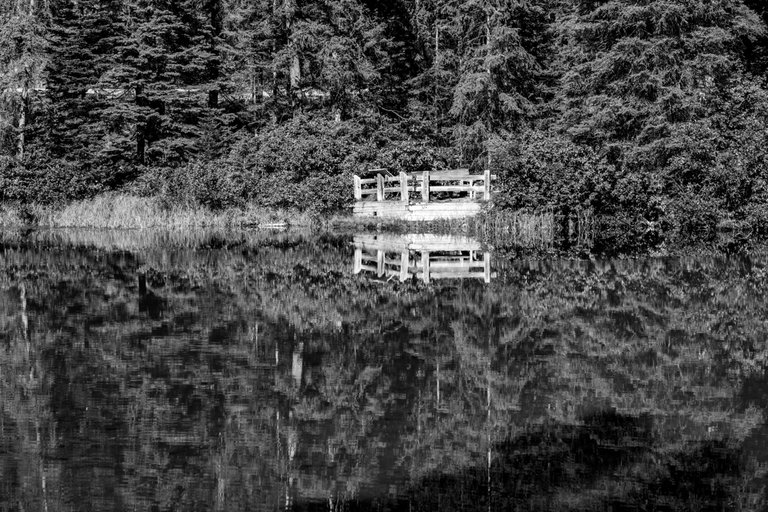 DSC08405.jpeg