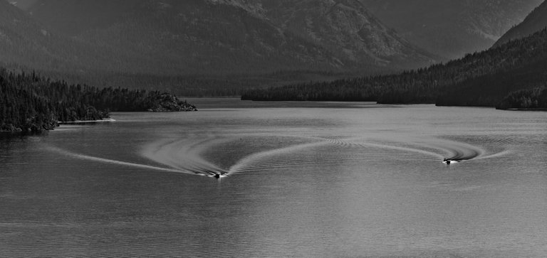 DSC08016.jpeg
