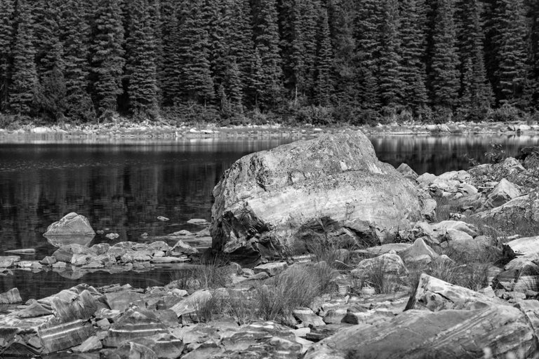 DSC08239.jpeg