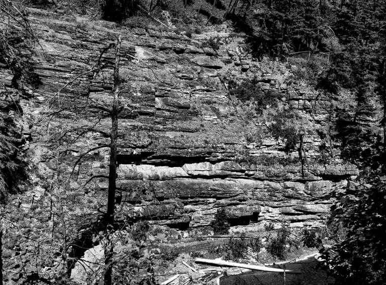 DSC07953.jpeg
