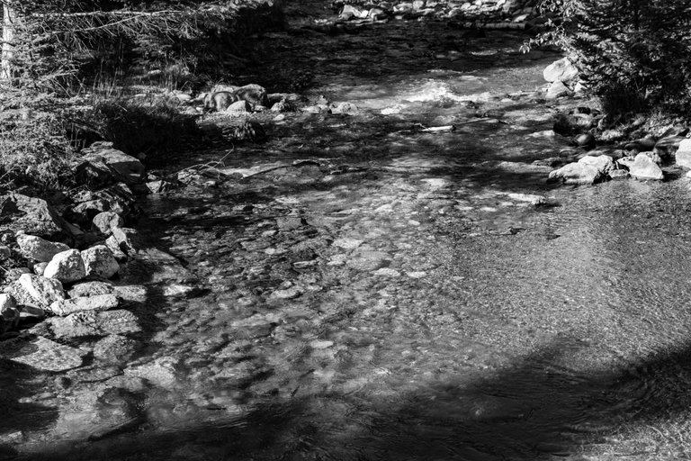 DSC08381.jpeg