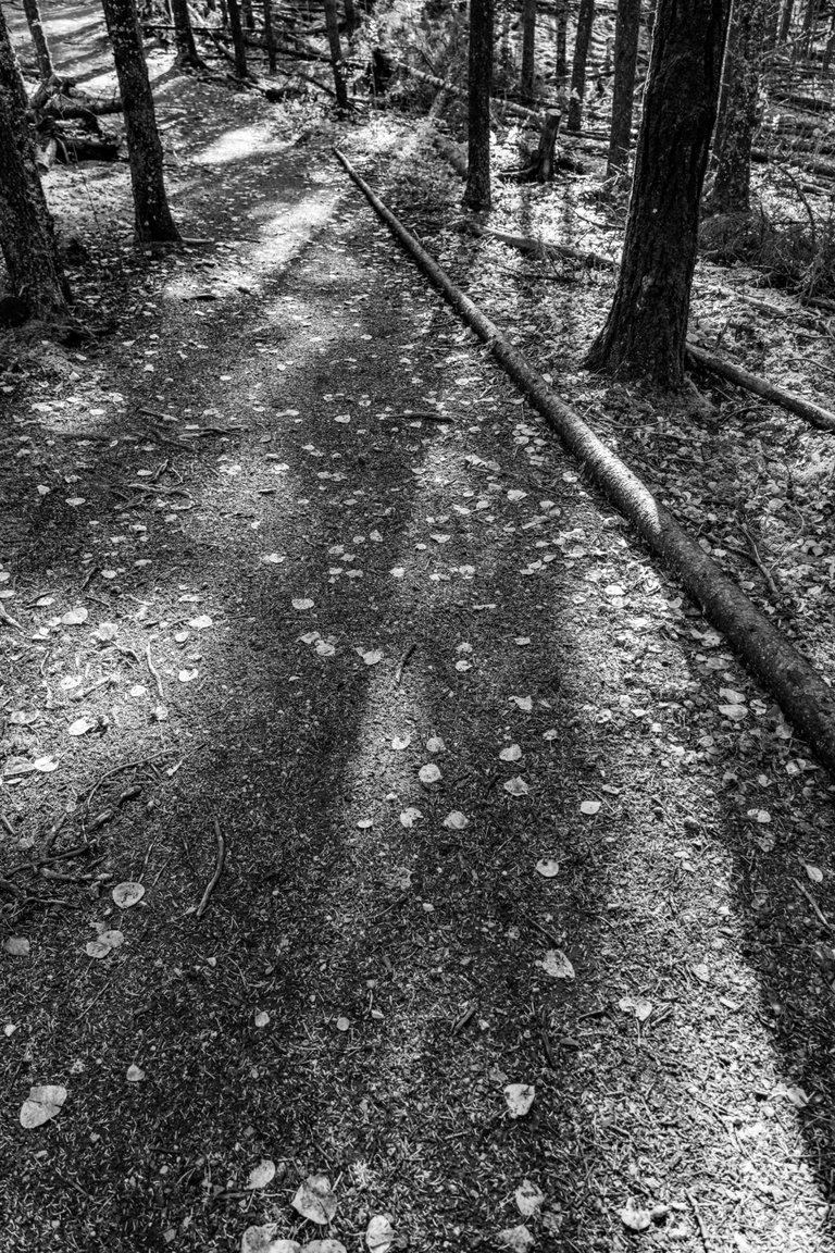 DSC08704.jpeg