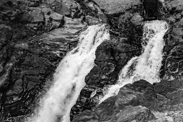 DSC09026.jpeg