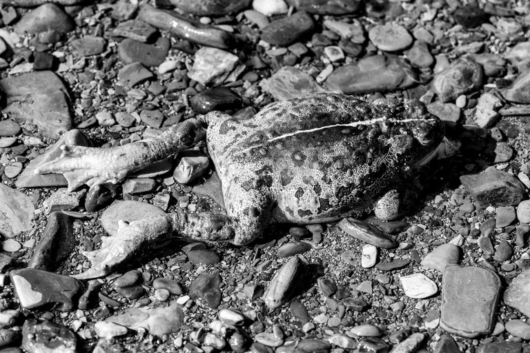 DSC08135.jpeg