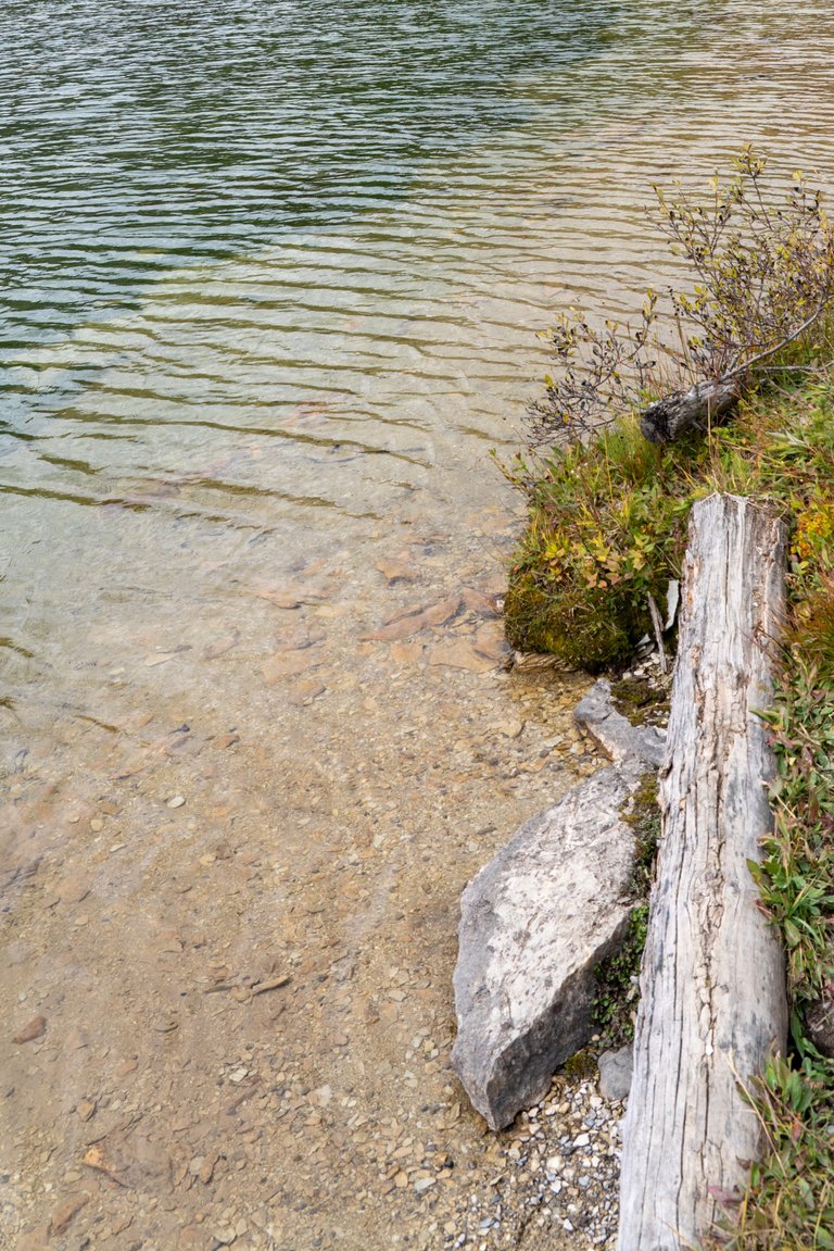DSC08460.jpeg