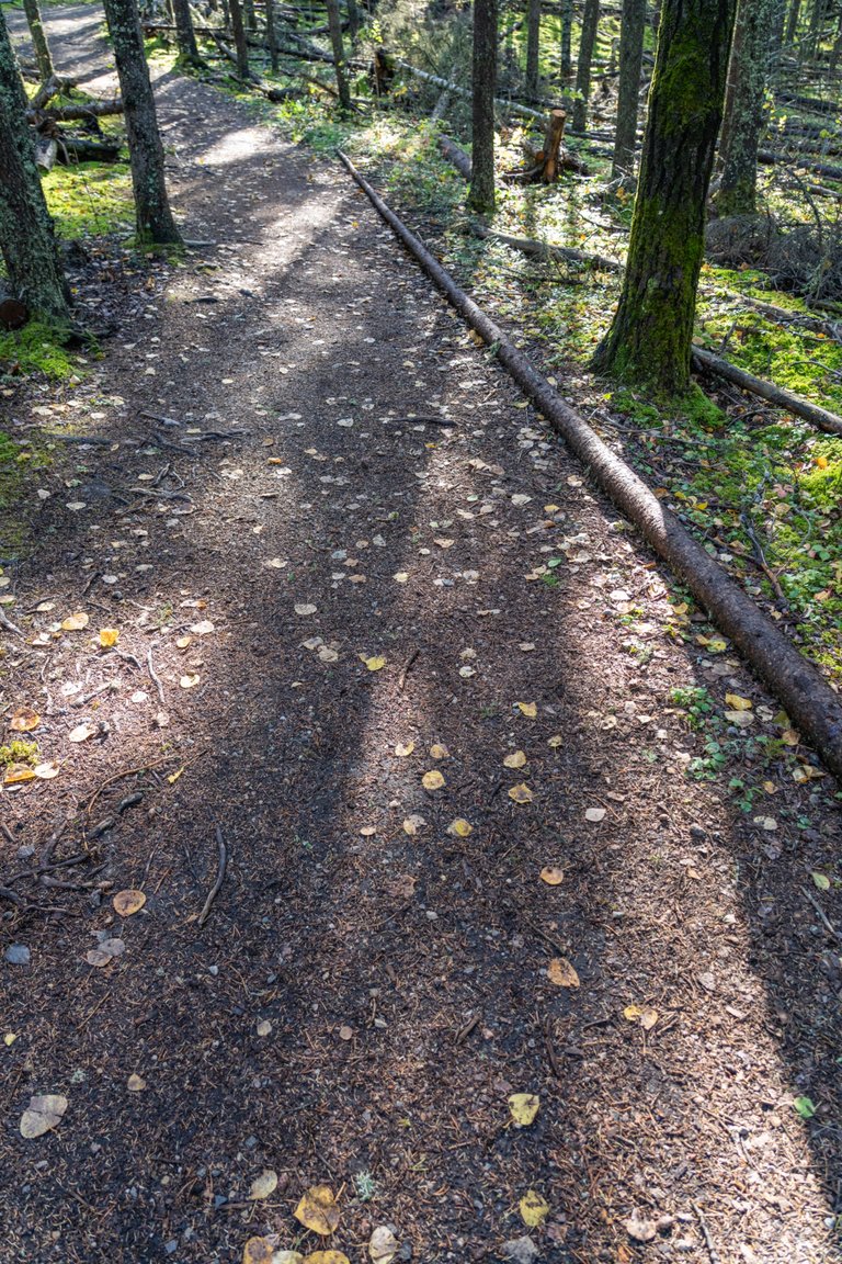 DSC08704.jpeg