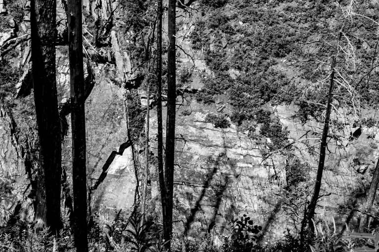 DSC07947.jpeg