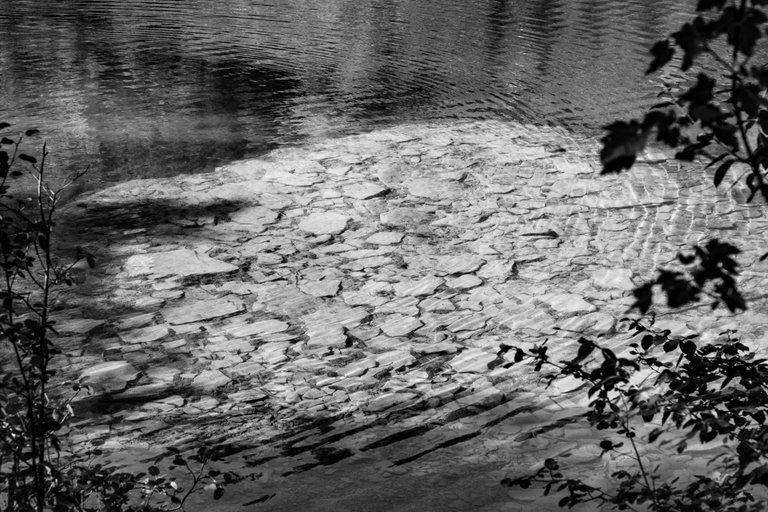DSC08295.jpeg