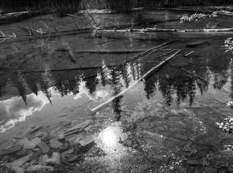 DSC08336.jpeg