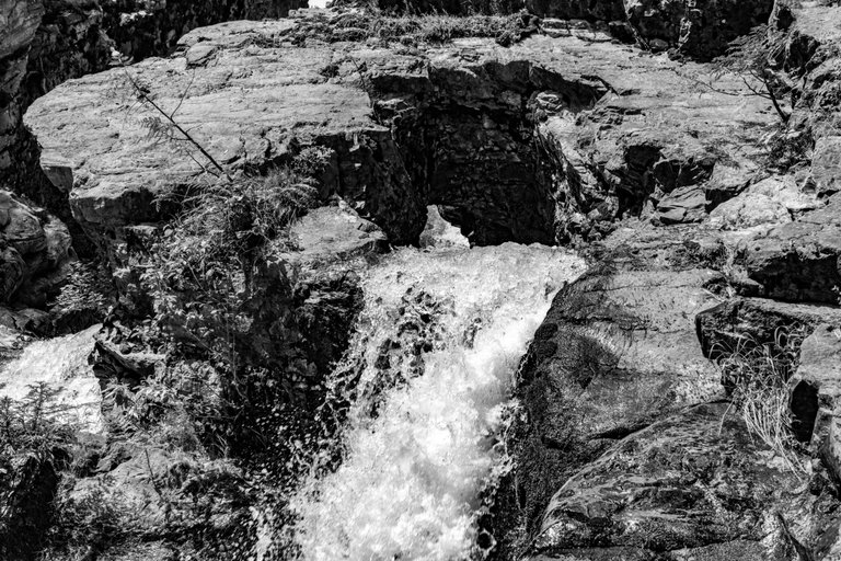 DSC09047.jpeg