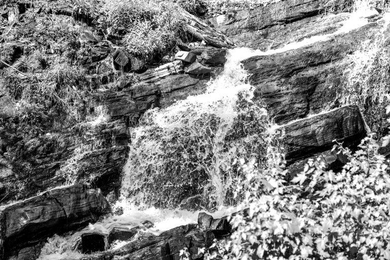 DSC08040.jpeg