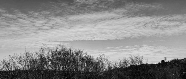 IMG_5711.jpeg