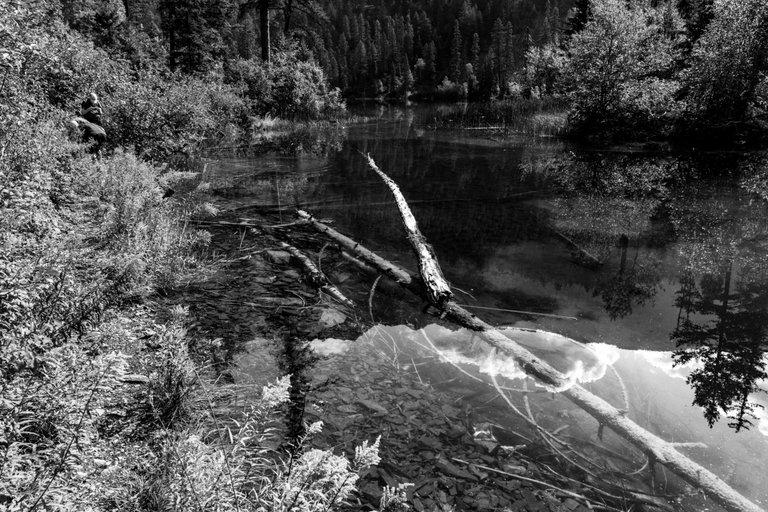 DSC08339.jpeg