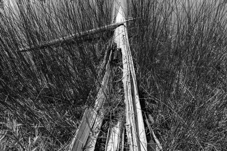 DSC08371.jpeg