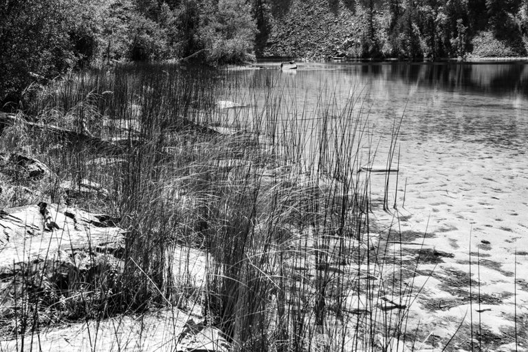 DSC08320.jpeg