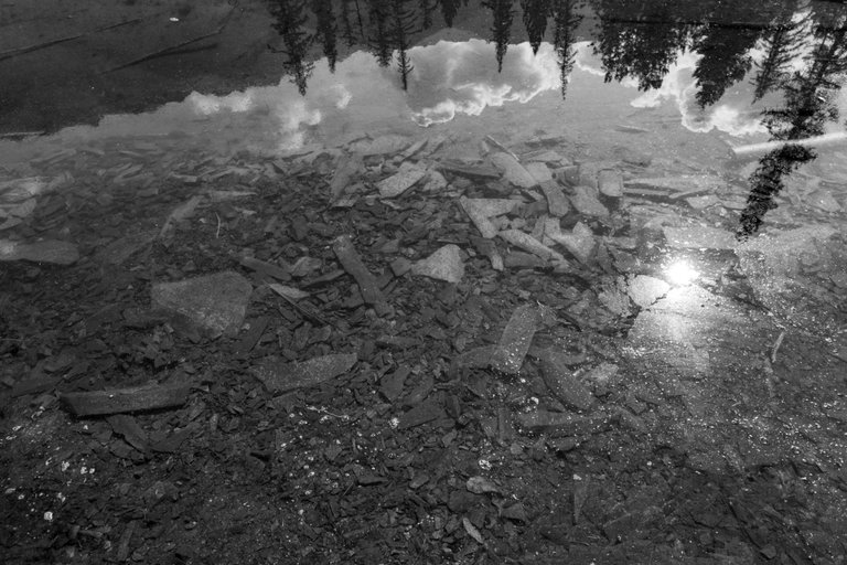 DSC08337.jpeg