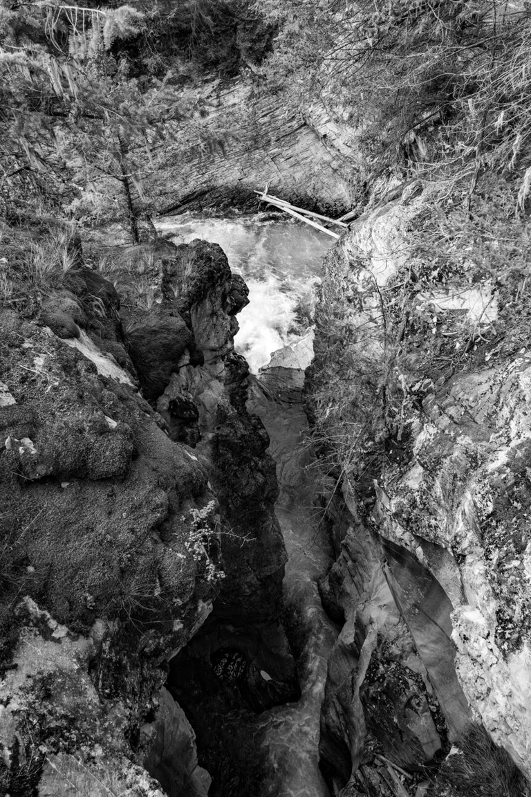 DSC08520.jpeg