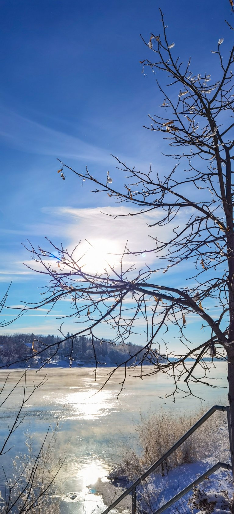 D8E34AB8-757D-472D-91E9-B6C5738E73A0.jpeg