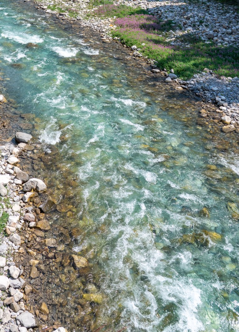 DSC08185.jpeg