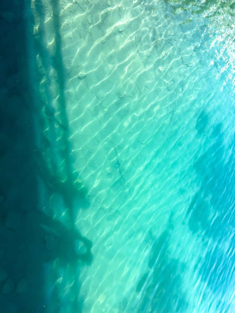 IMG_0307.jpeg