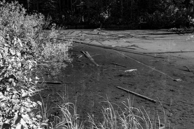 DSC08413.jpeg