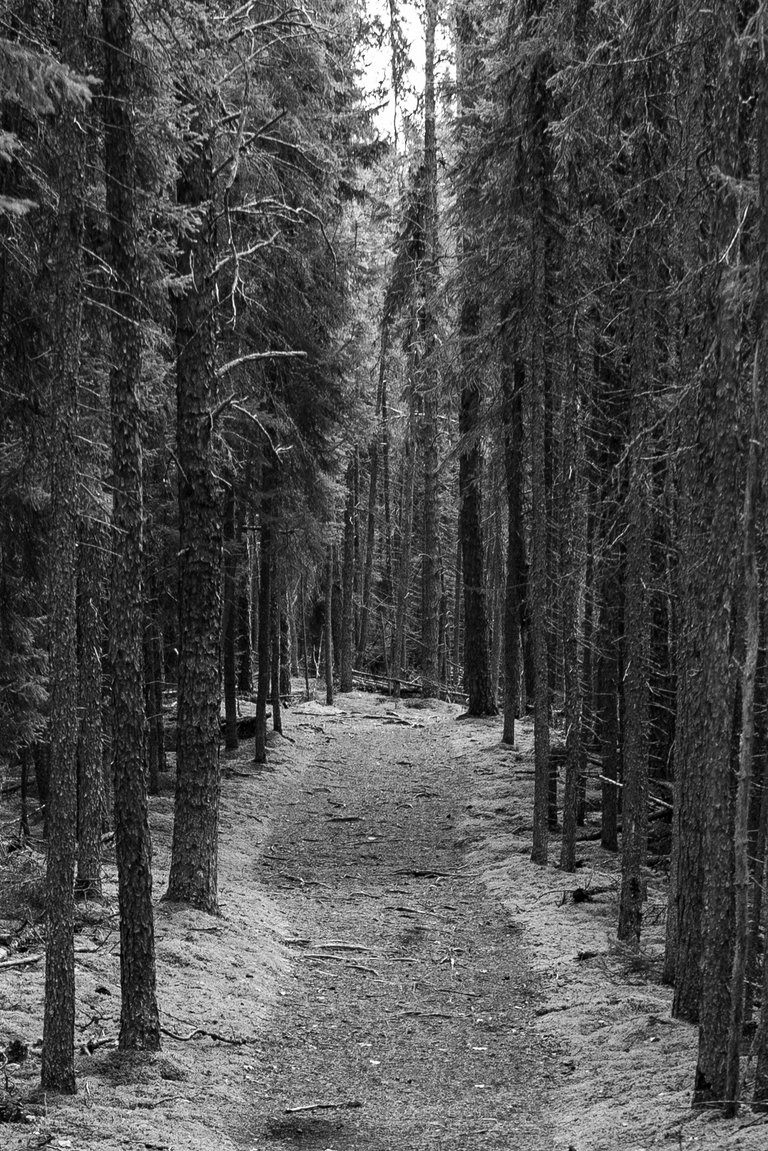 DSC08777.jpeg