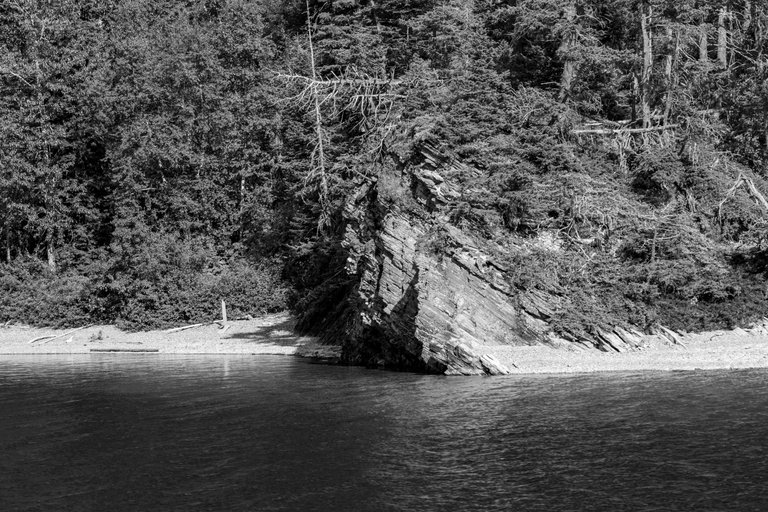 DSC08152.jpeg