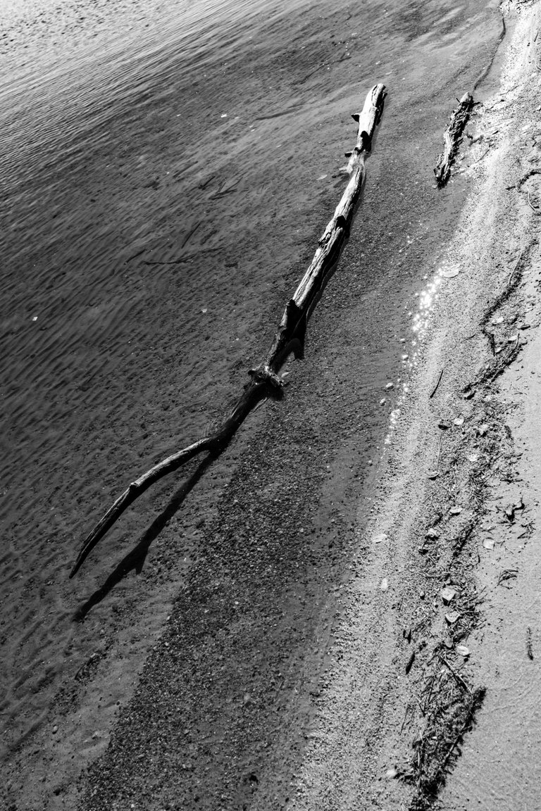 DSC08671.jpeg